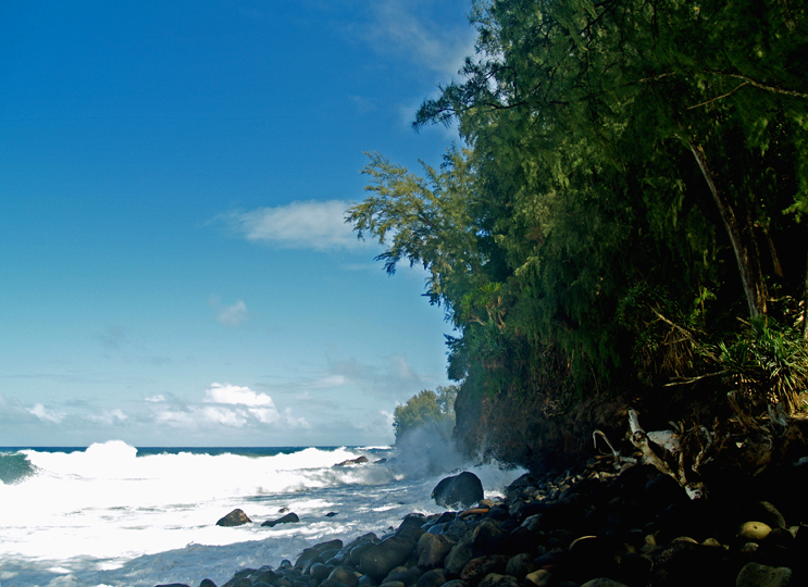 http://lovingthebigisland.files.wordpress.com/2010/01/the-wild-surf-at-kolekole-beach-is-generally-too-rough-to-swim-in-hilo-hawaii-photo-by-donnie-macgowan.jpg