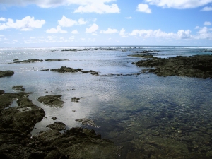 The Kapoho Tide Pools Offer a Unique, Fascinating Snorkeling Experience: Photo by Donnie MacGowan