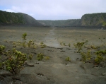Looking Straight Across the Floor of Kilauea Iki Crater: Photo by Donnie MacGowan